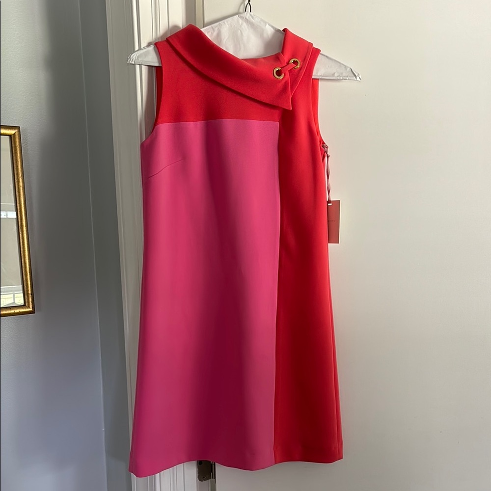 Alex Marie Red and Pink Asymmetrical Cowl Neck Mini Dress